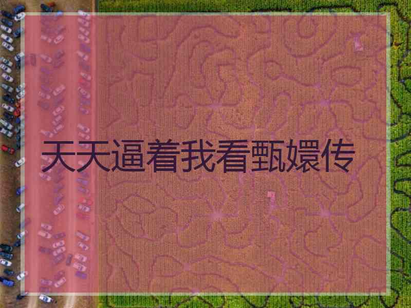 天天逼着我看甄嬛传