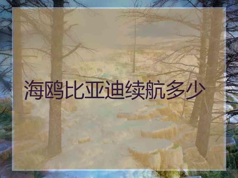 海鸥比亚迪续航多少