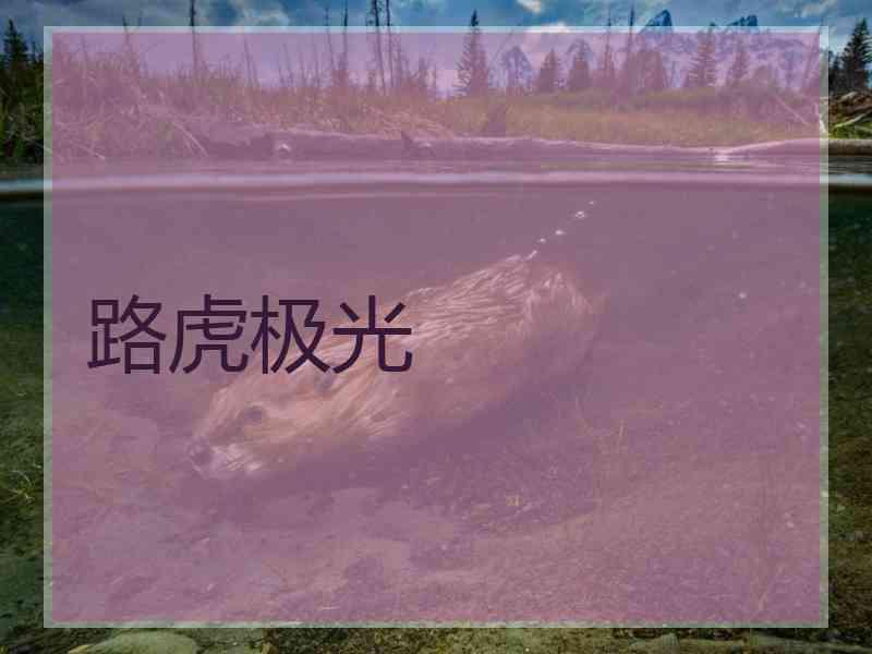 路虎极光