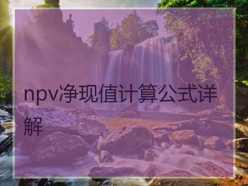 npv净现值计算公式详解