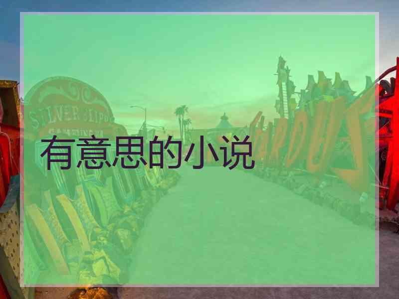 有意思的小说