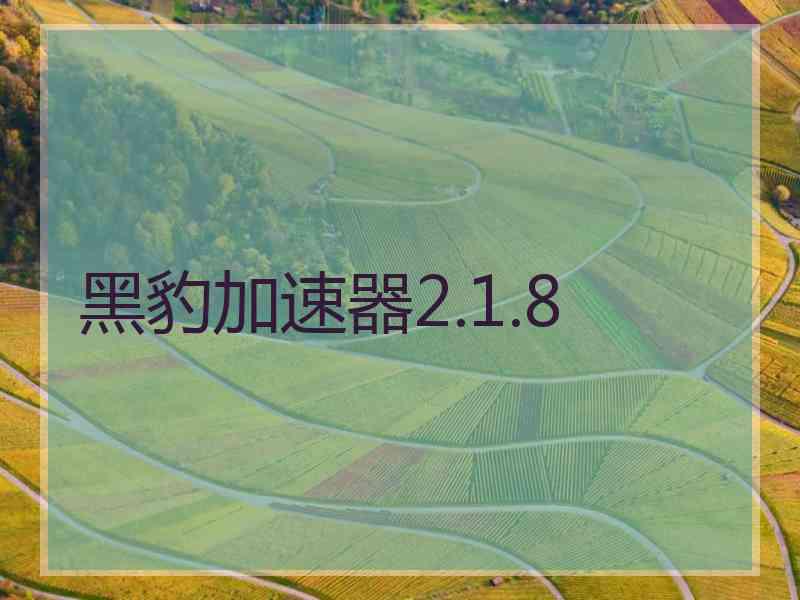 黑豹加速器2.1.8
