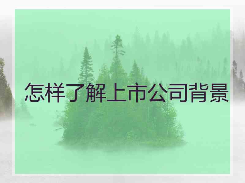 怎样了解上市公司背景