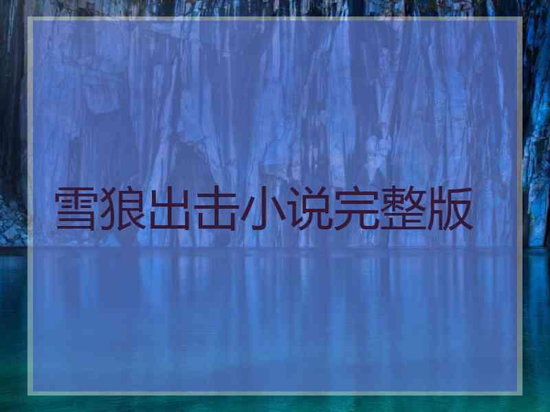 雪狼出击小说完整版