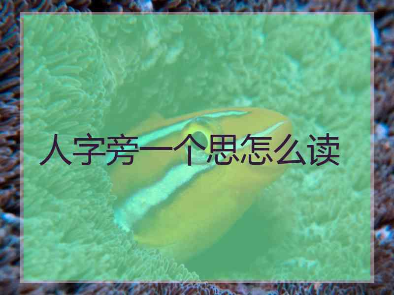 人字旁一个思怎么读