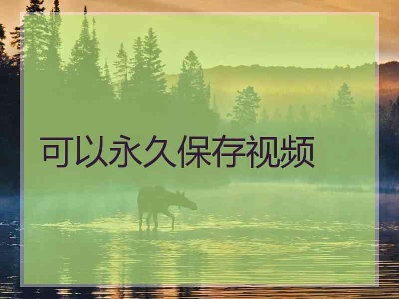 可以永久保存视频