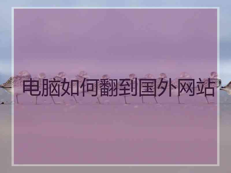 电脑如何翻到国外网站