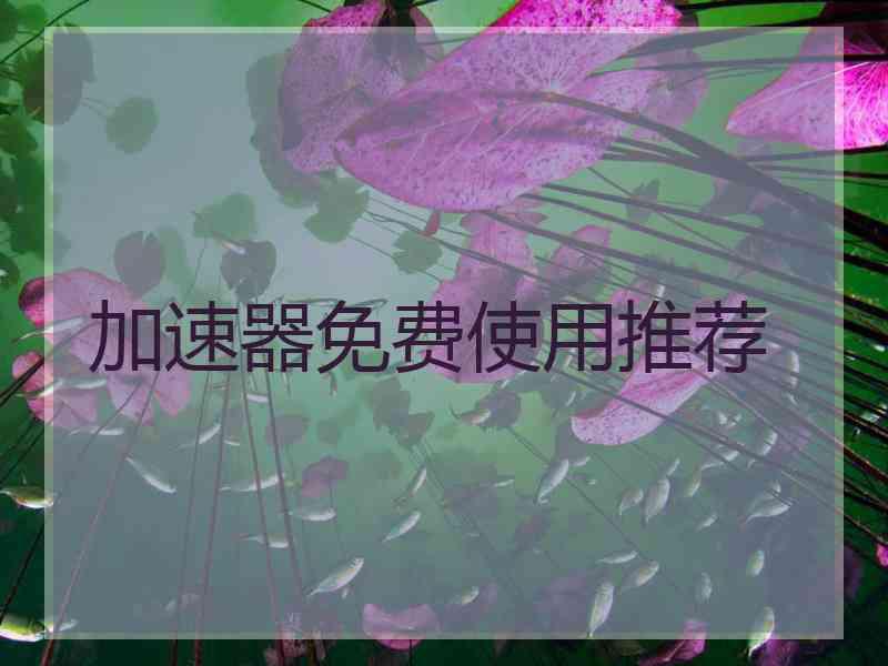 加速器免费使用推荐