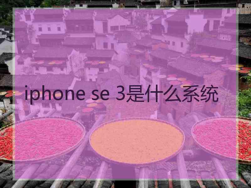 iphone se 3是什么系统
