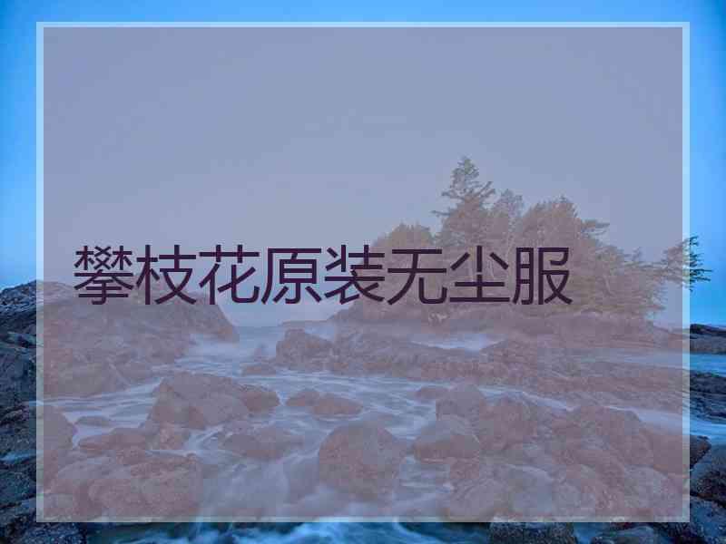 攀枝花原装无尘服