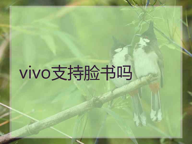 vivo支持脸书吗