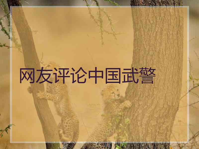 网友评论中国武警