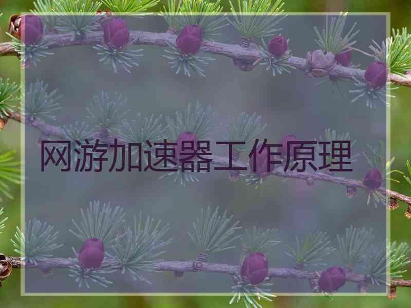 网游加速器工作原理