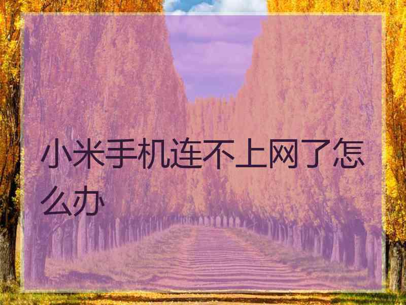 小米手机连不上网了怎么办