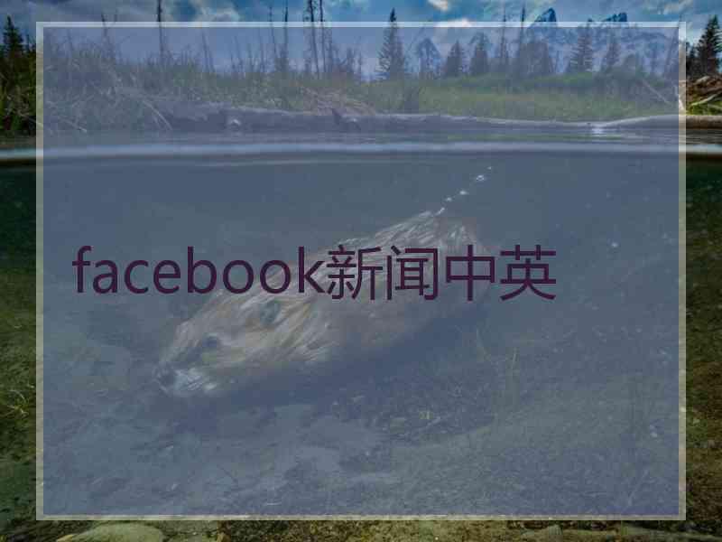 facebook新闻中英
