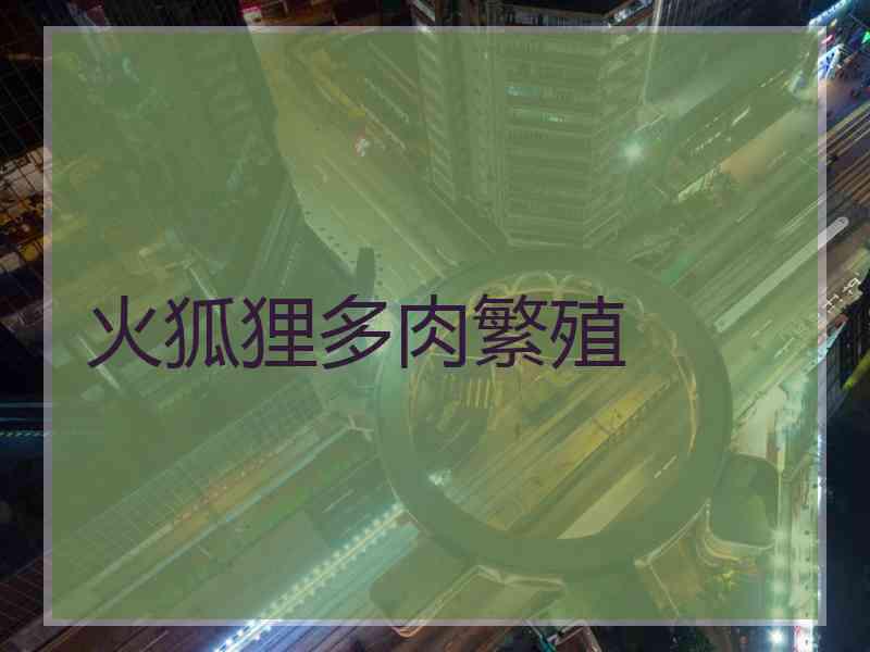 火狐狸多肉繁殖