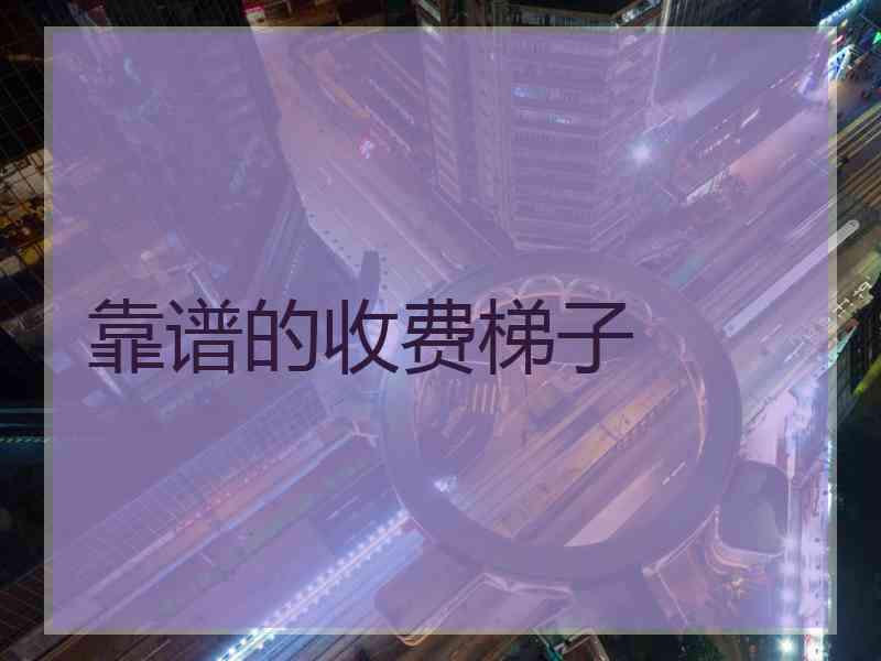 靠谱的收费梯子