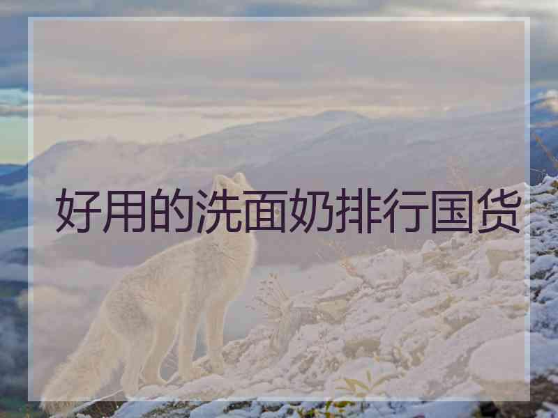好用的洗面奶排行国货