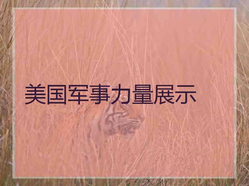 美国军事力量展示