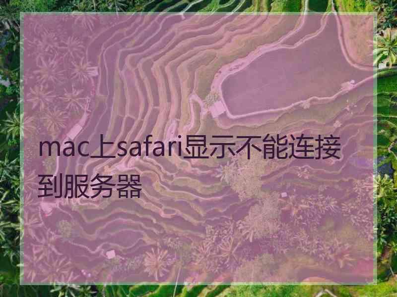 mac上safari显示不能连接到服务器