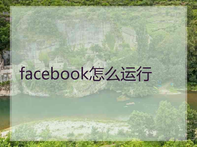 facebook怎么运行