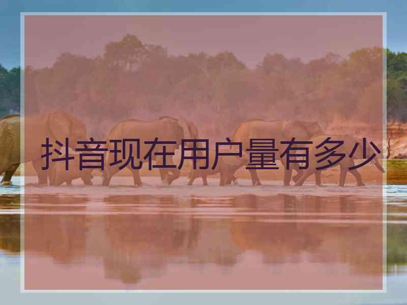 抖音现在用户量有多少