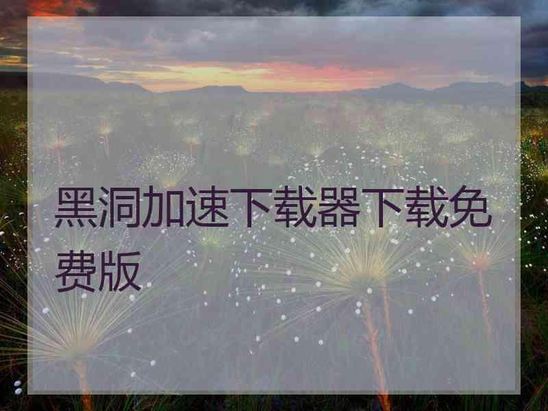 黑洞加速下载器下载免费版