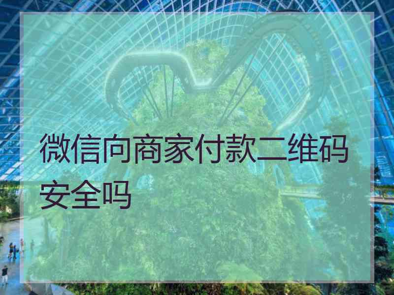 微信向商家付款二维码安全吗