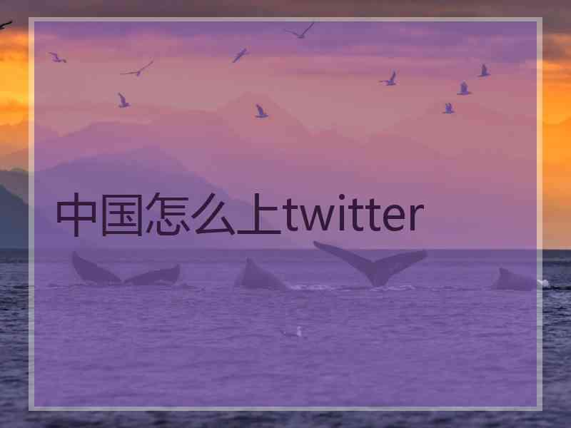 中国怎么上twitter