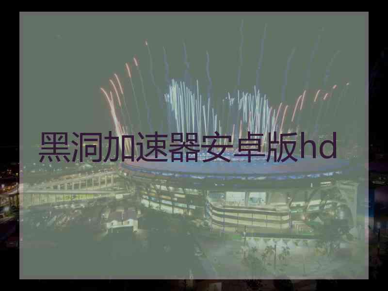 黑洞加速器安卓版hd