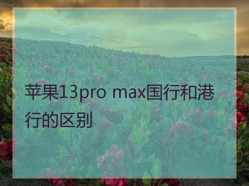 苹果13pro max国行和港行的区别