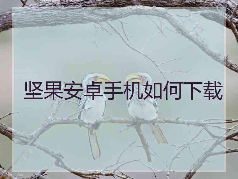 坚果安卓手机如何下载