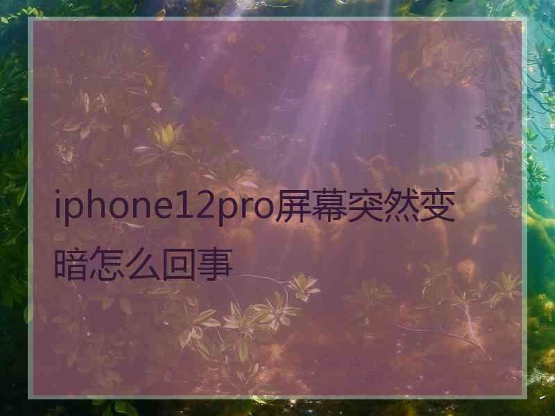 iphone12pro屏幕突然变暗怎么回事