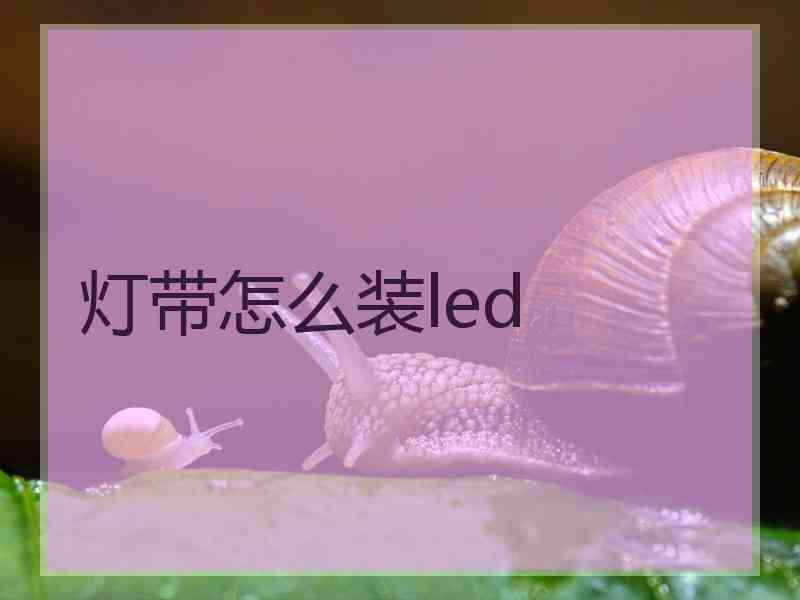 灯带怎么装led