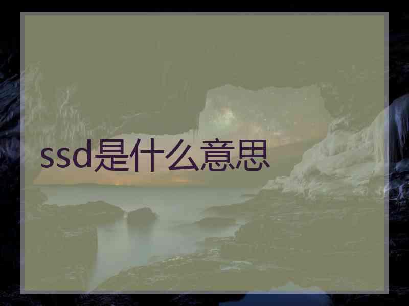 ssd是什么意思