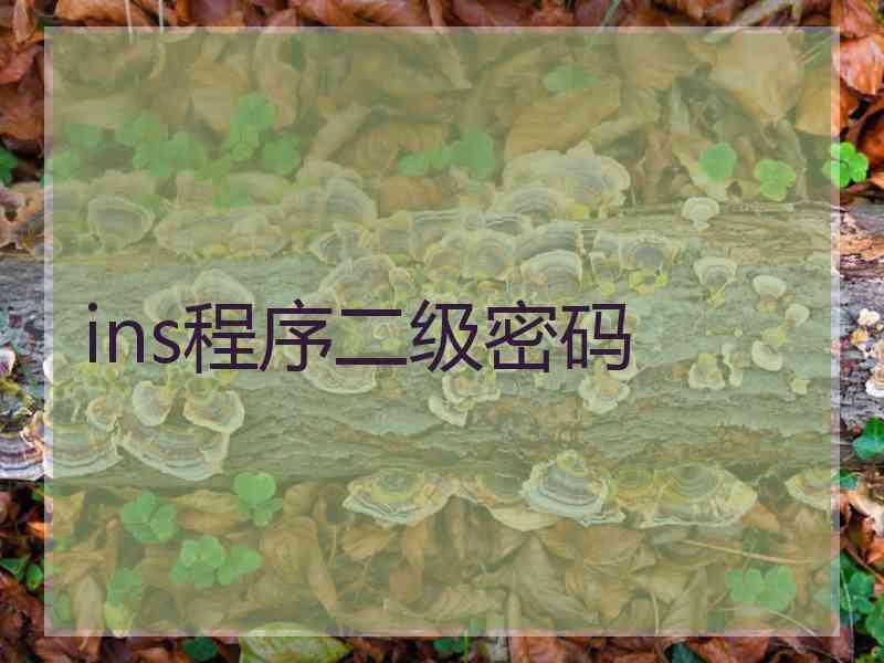 ins程序二级密码