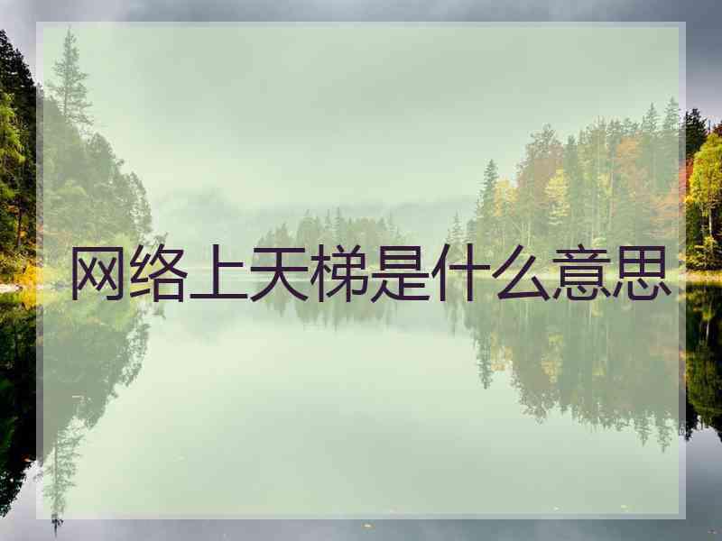 网络上天梯是什么意思