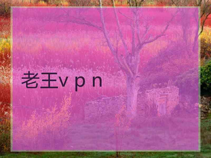 老王v p n
