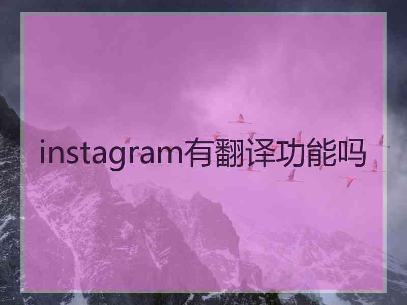 instagram有翻译功能吗