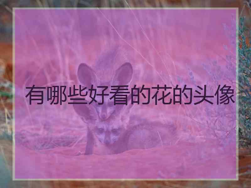有哪些好看的花的头像