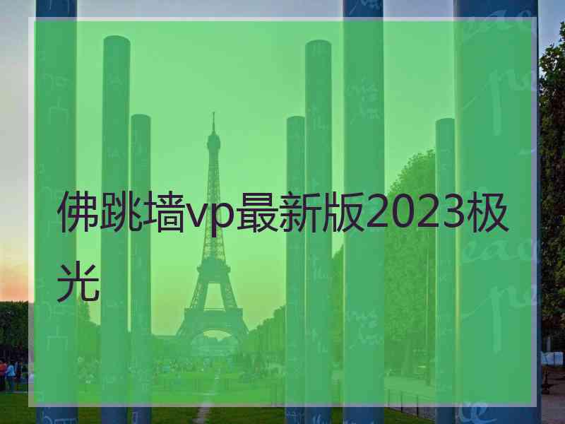 佛跳墙vp最新版2023极光