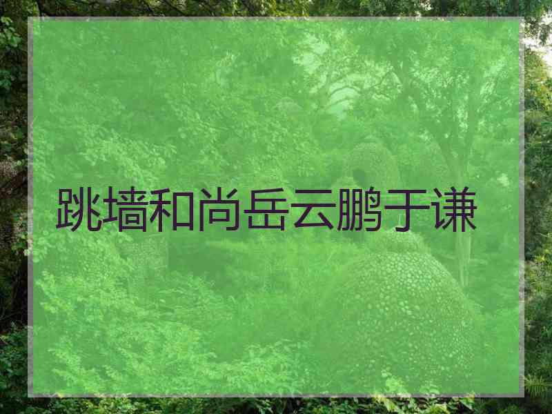 跳墙和尚岳云鹏于谦