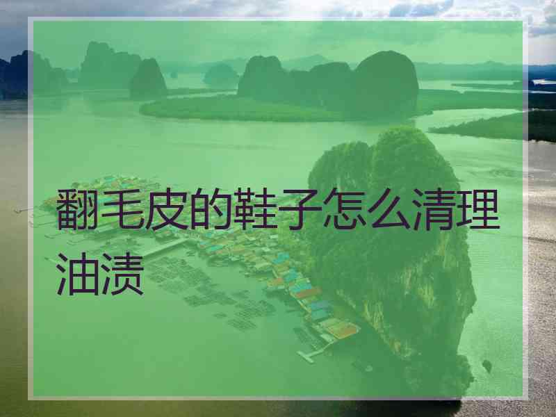 翻毛皮的鞋子怎么清理油渍