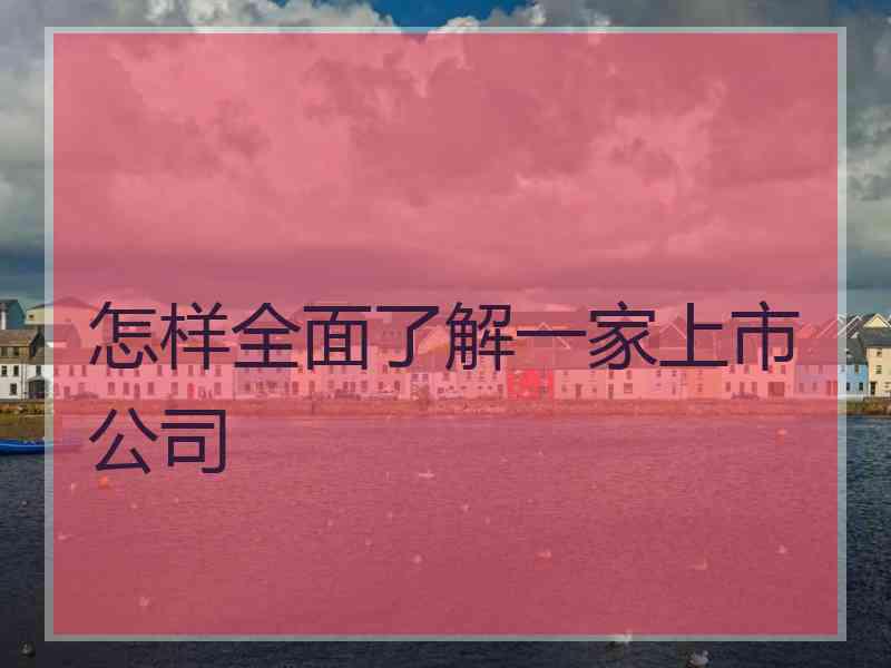 怎样全面了解一家上市公司