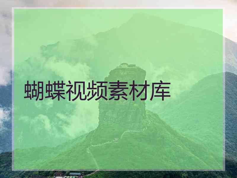 蝴蝶视频素材库