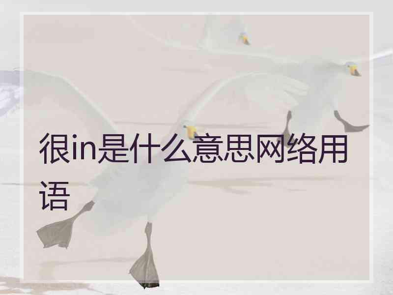 很in是什么意思网络用语