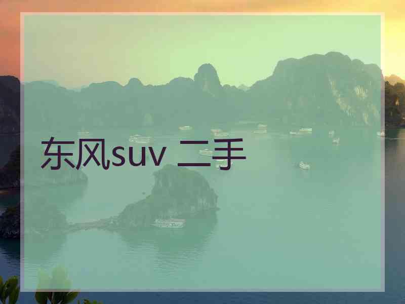 东风suv 二手