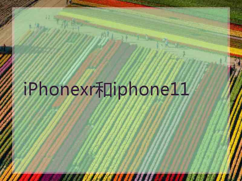 iPhonexr和iphone11