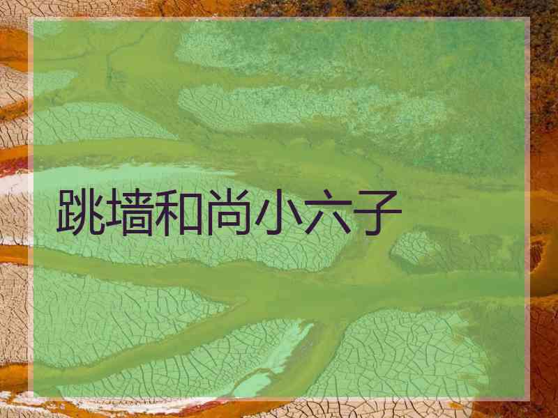 跳墙和尚小六子