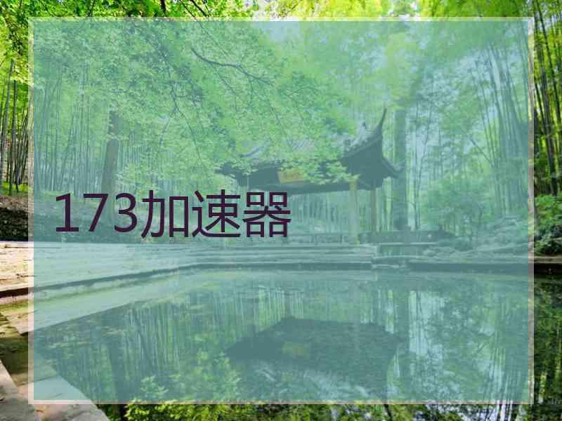 173加速器